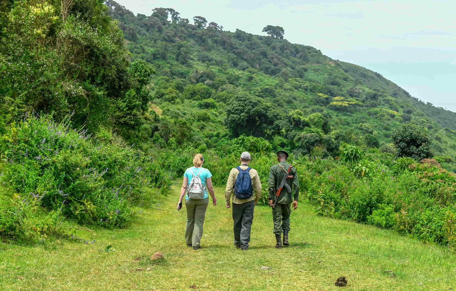 Walking Safari