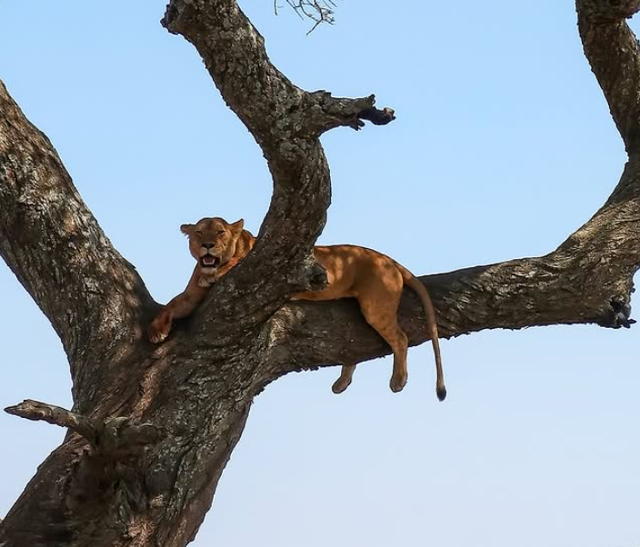 Serengeti National Park