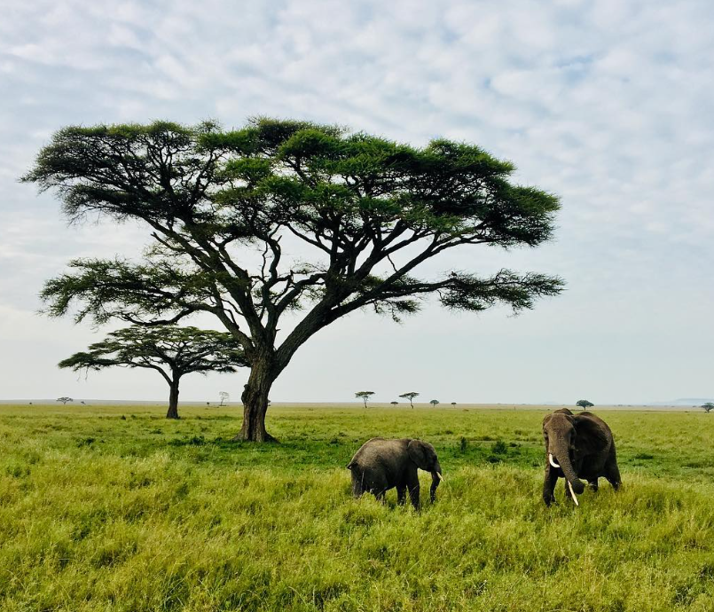 Serengeti National Park