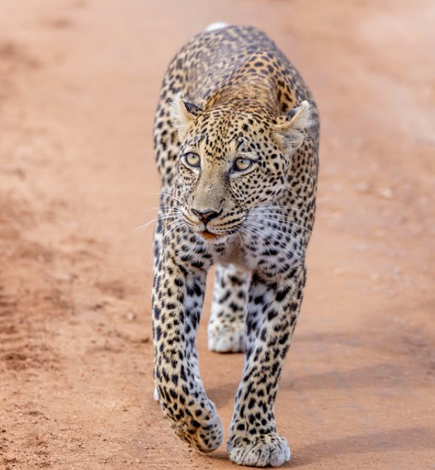 Tarangire National Park