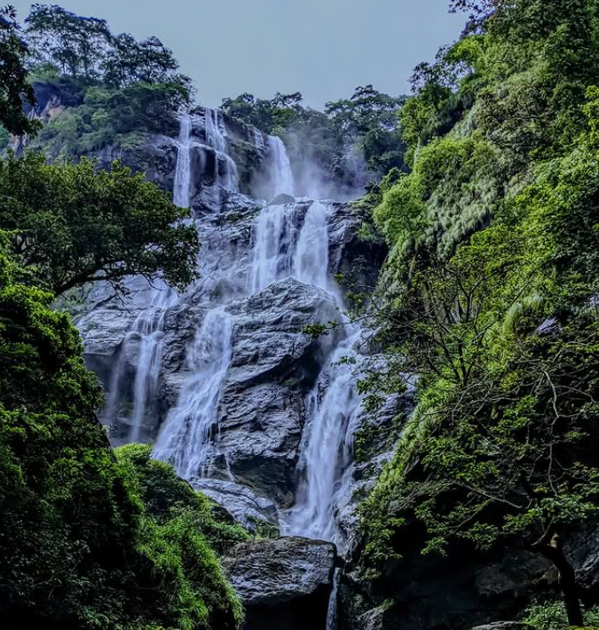 Udzungwa Mountains National Park