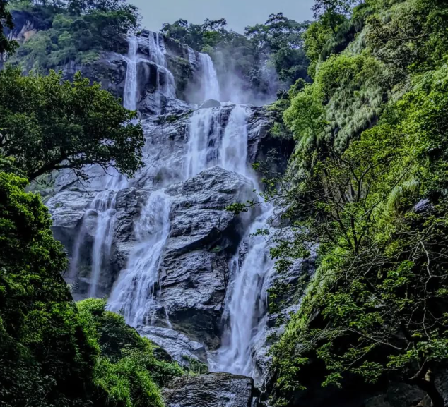 Udzungwa Mountains National Park