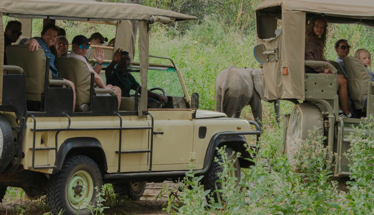 1-Day Flying Zanzibar to Mikumi NP, Full Day Game Drive