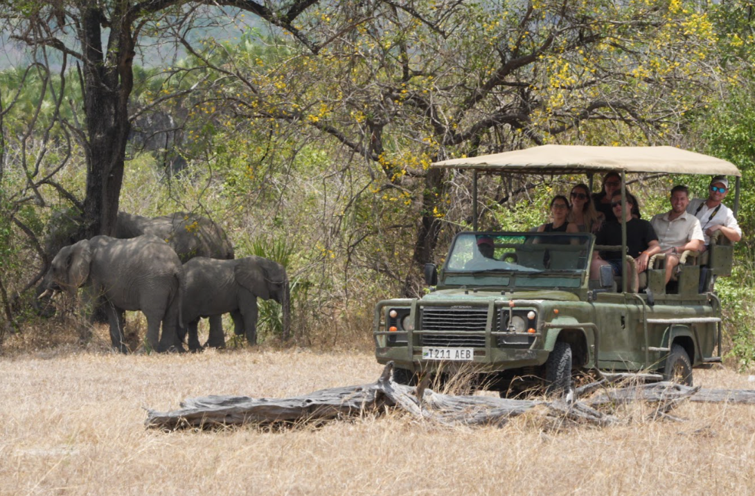 2-Day Amazing Luxury Safari Inside Nyerere NP (Selous)
