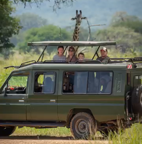 2-Day Amazing Safari Mikumi NP From Dar Es Salaam