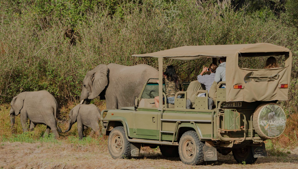 3-Day Fly Zanzibar to Nyerere NP, Night Game Drive