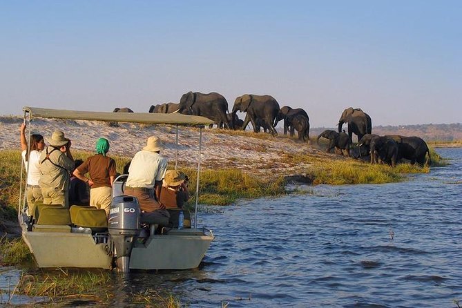 3-Day Zanzibar to Selous Boat Fishing, Game Drive by Flight