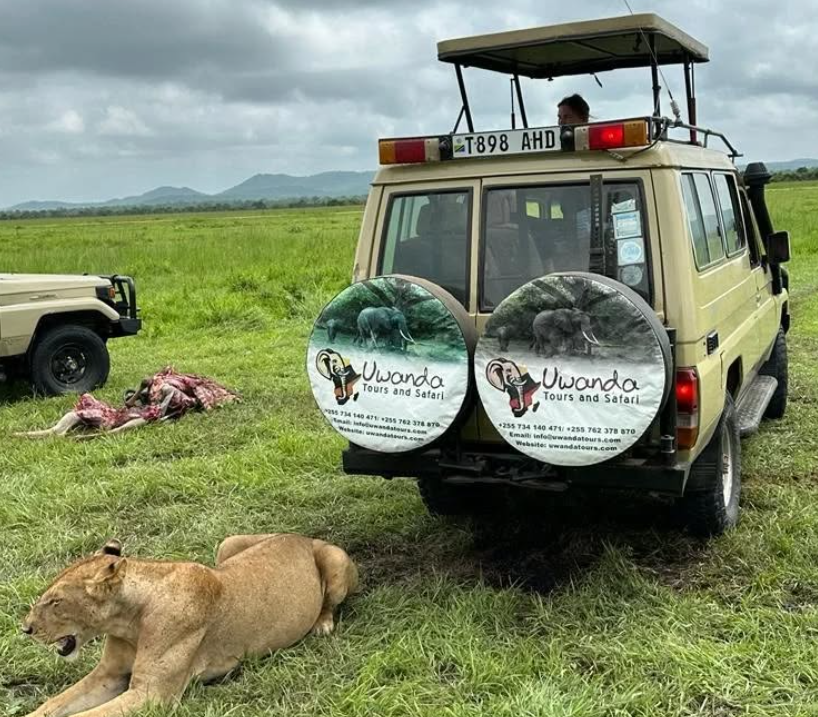 5-Day Mikumi NP And Nyerere NP (Selous GR ), Game Drives + Boat Safari