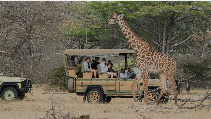 5-Day Wonderful Safari Zanzibar to Nyerere NP by Flight