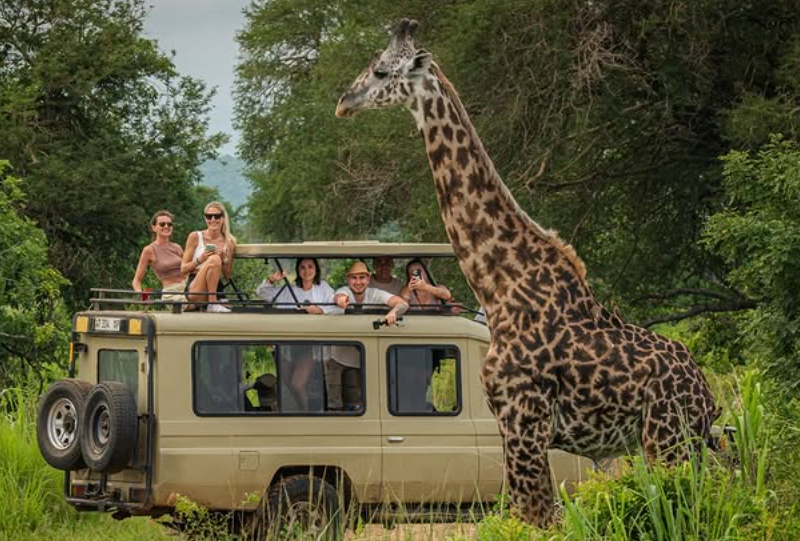 Private 4x4 Land Cruiser with pop-up roof