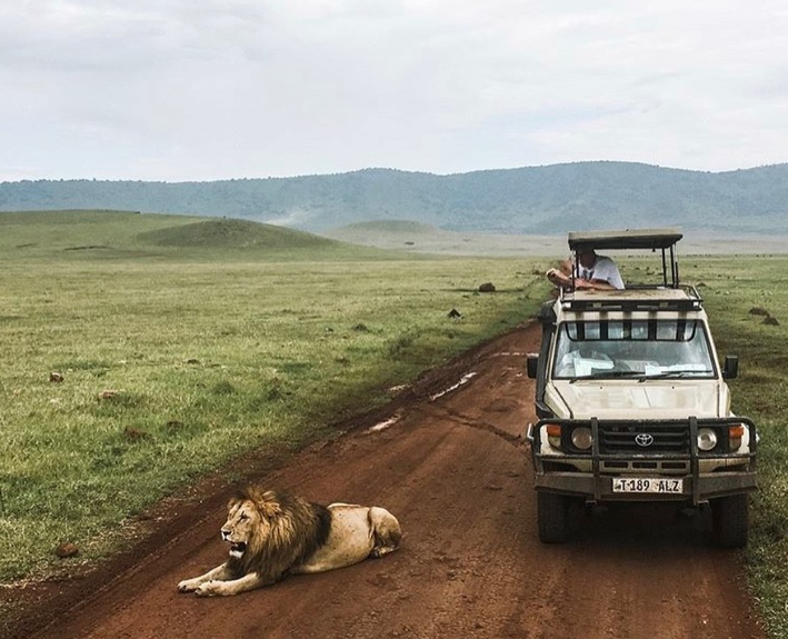 Game Drive in Ngorongoro Crater and return to Moshi or Arusha