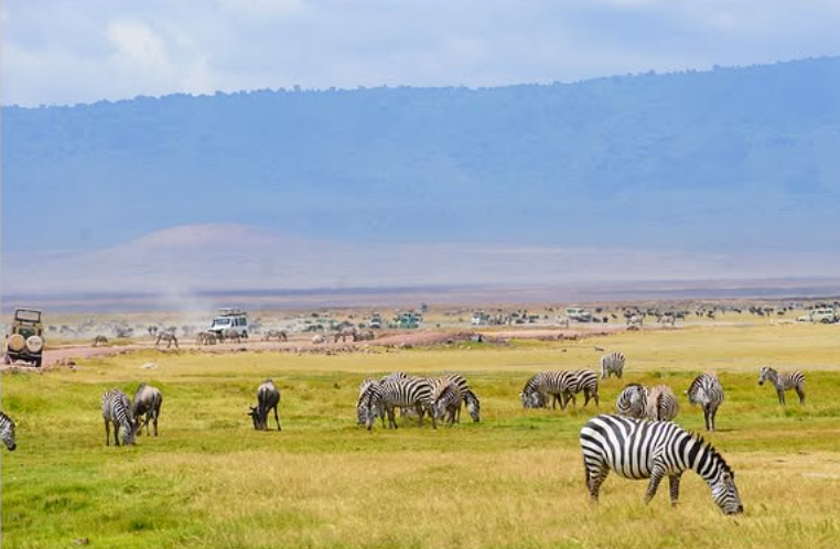 Game Drive in Ngorongoro Crater and return to Moshi or Arusha