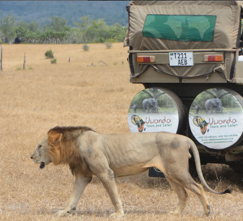 Game Drive & Boat Safari Inside The Park