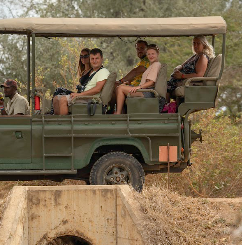 Full-Day Game Drive & Hot Springs Experience