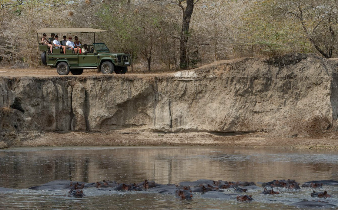 Full-Day Game Drive & Hot Springs Experience