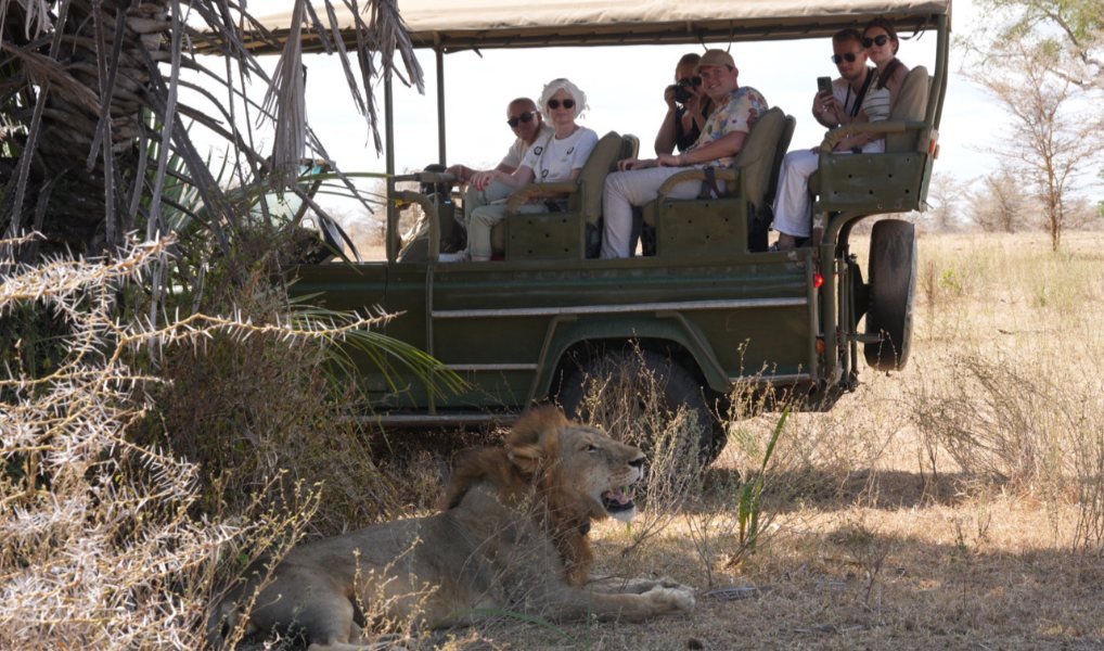 3-Day Fly Zanzibar to Nyerere NP, Night Game Drive