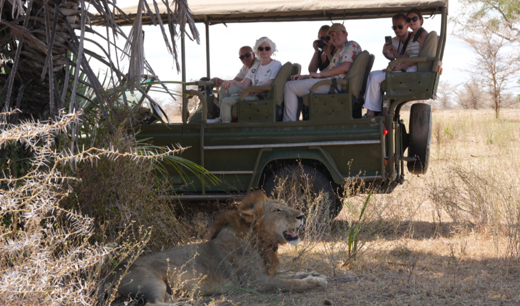 Fly from Zanzibar – Sunset Game Drive