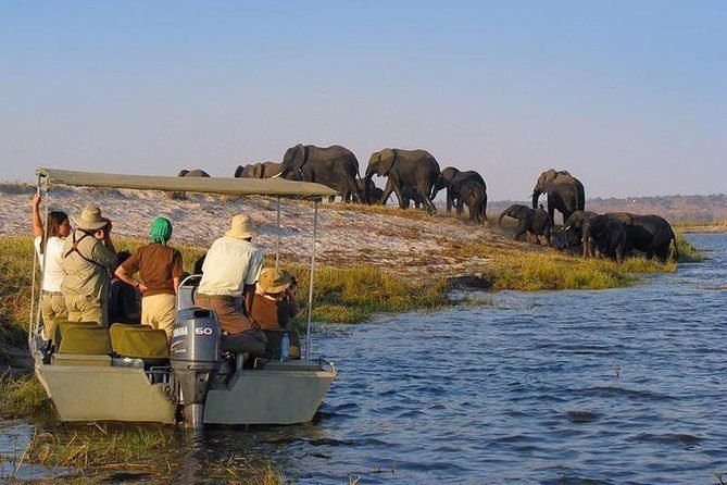 3-Day Zanzibar to Selous Boat Fishing, Game Drive by Flight