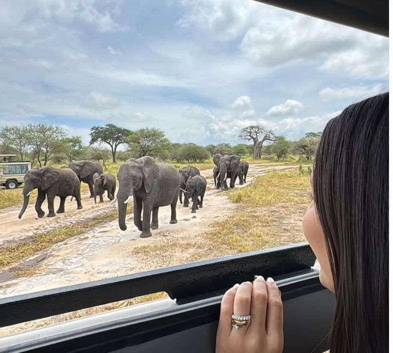 Tarangire Game Drive & Flight to Zanzibar