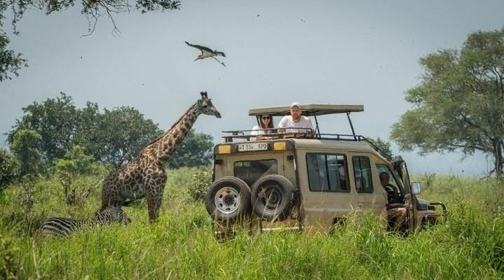 4-Day Amazing Safari Dar es Salaam To Nyerere National Park
