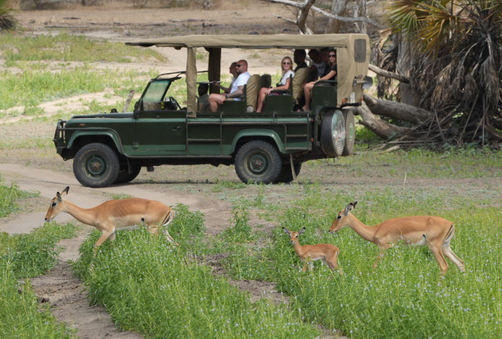 1-Day Game Drive Safari Flying Zanzibar To Nyerere NP (Selous GR)