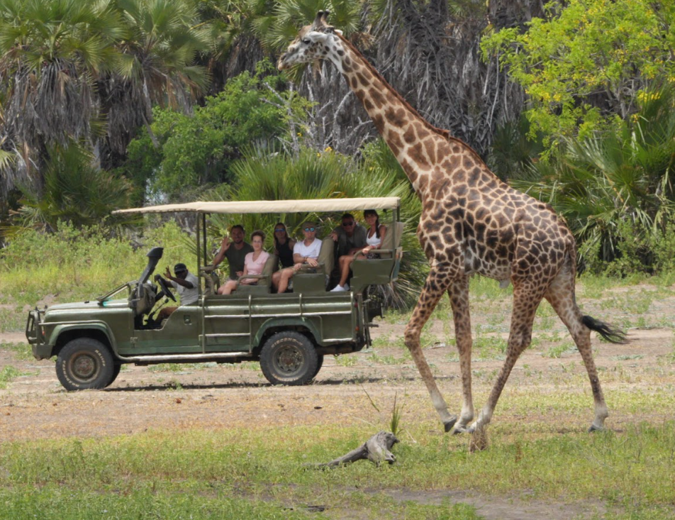 Dar Es Salaam to Mikumi National Park by Sgr Train