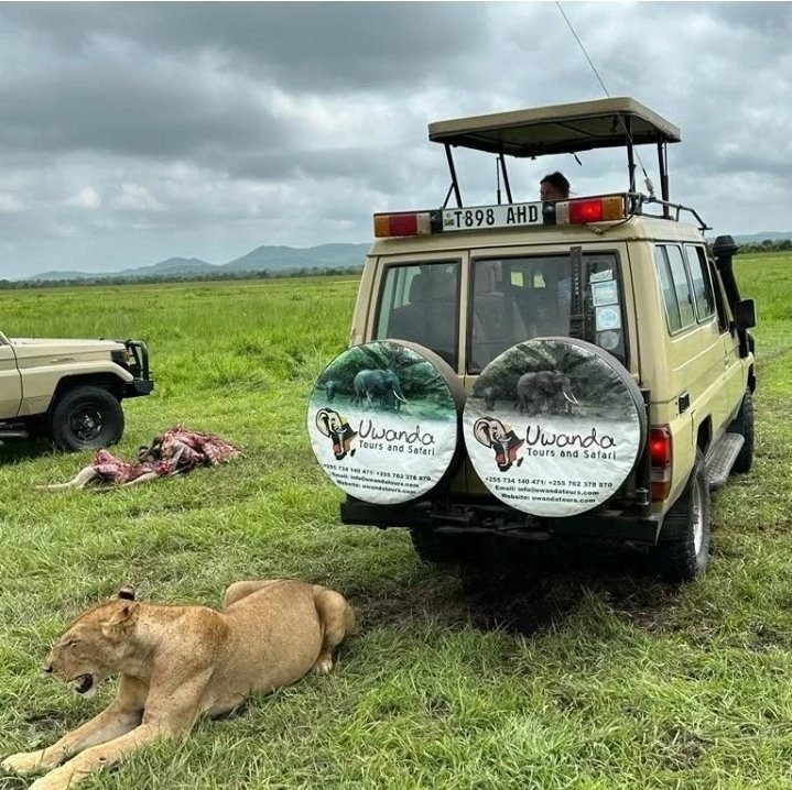Dar es Salaam to Mikumi National Park - Game Drives