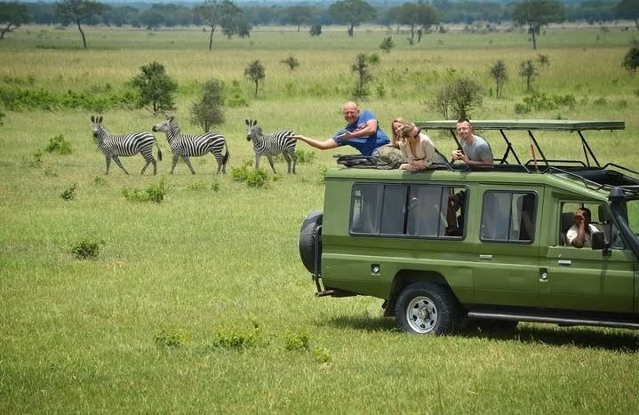 Morning Game Drive And Return To Dar Es Salaam