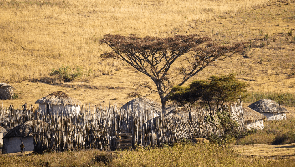 Dar es Salaam to Mikumi National Park & Maasai Culture