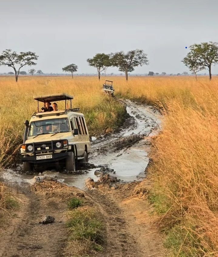 Transfer From Mikumi to Ruaha National Park