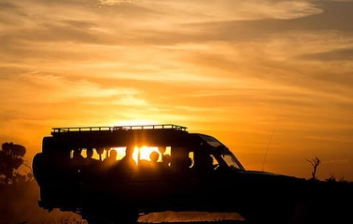 Flying Zanzibar to Selous for Full-Day Game Drive