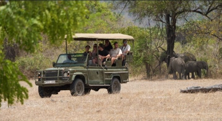 Game Drive at Mikumi National Park
