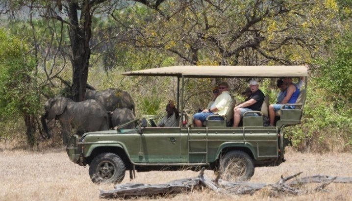 Game Drive at Mikumi National Park
