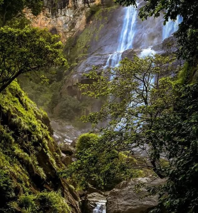 Udzungwa Mountains