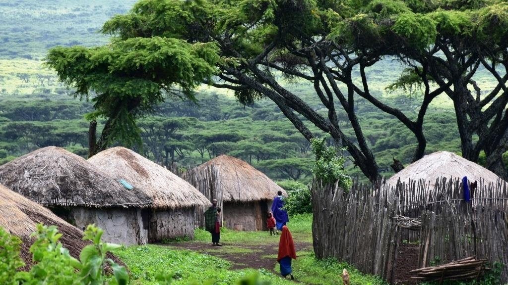 Walking Safari, Village Visit & Boat Safari