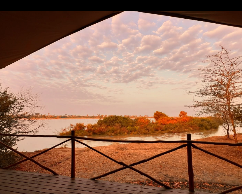 Selous Impala Camp