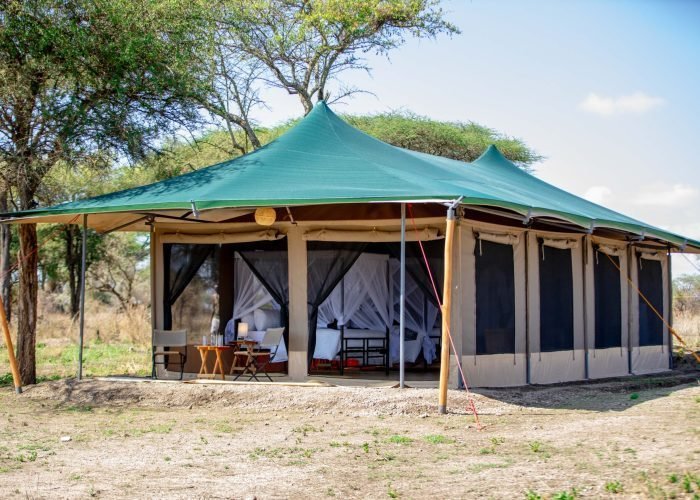 Serengeti Classic View Migration Camp -  Ndutu