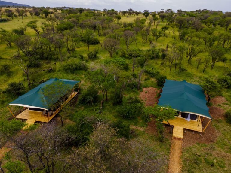 Serengeti Classic View Camp
