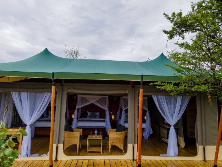 Arrival in Serengeti National Park
