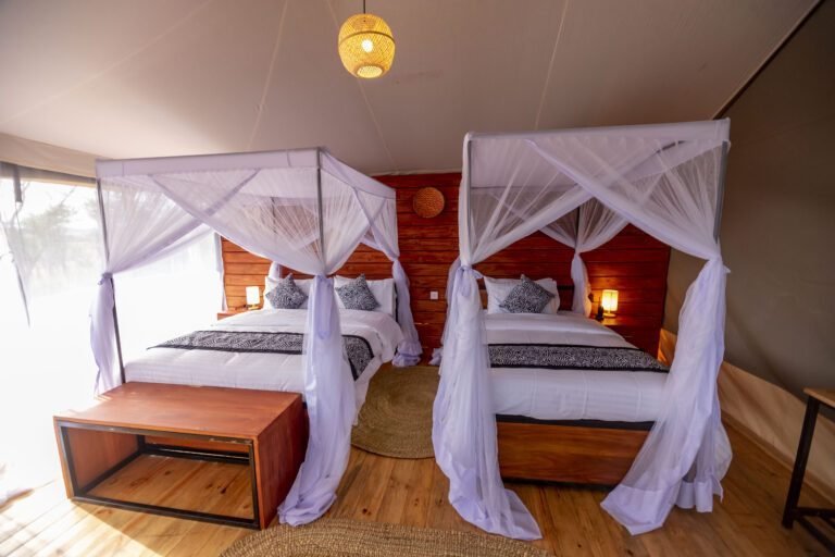 Serengeti Classic View Camp