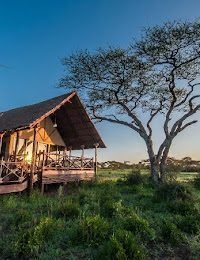 Serengeti Classic View Migration Camp - Ndutu