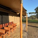 Serengeti Classic View Migration Camp -  Ndutu