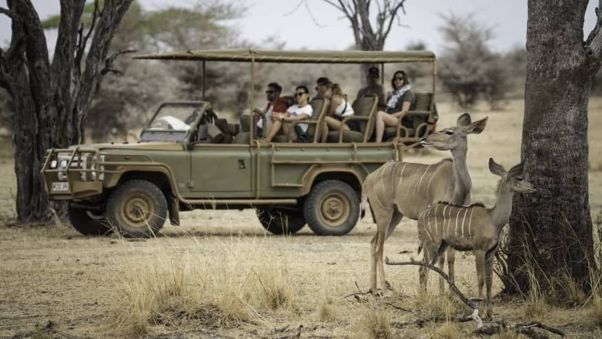 Flying From Zanzibar To Selous Game Reserve & Game Drive