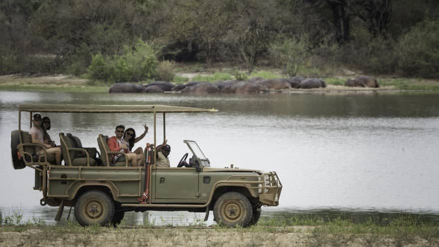 Flying Zanzibar to Mikumi NP, Full Day Game Drive