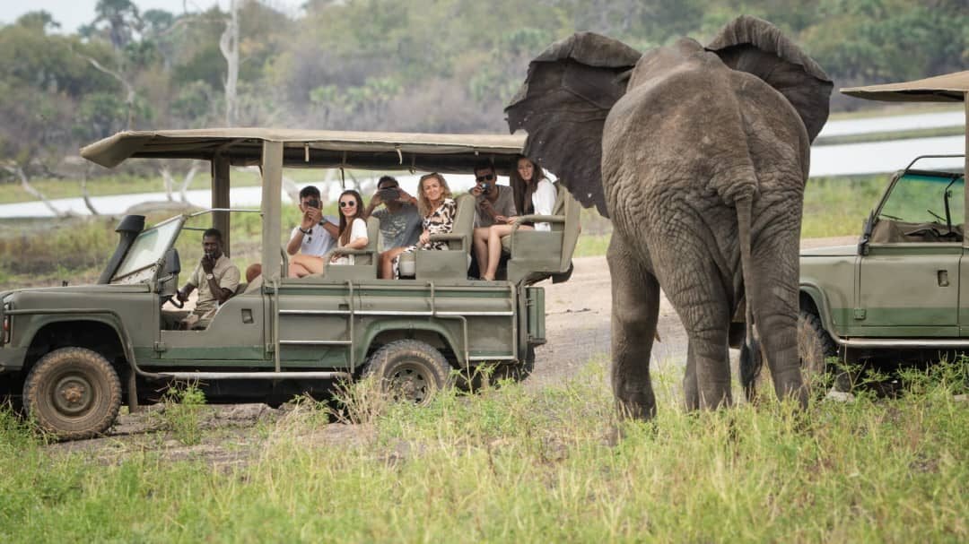Flying From Zanzibar To Selous Game Reserve & Game Drive