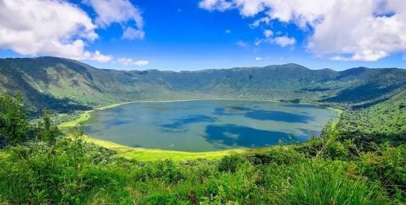 Serengeti to Ngorongoro Crater Game Drive – Big Five Experience
