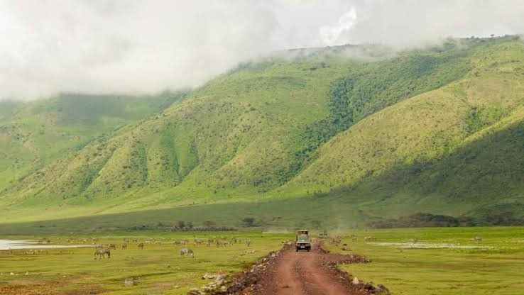 Serengeti to Ngorongoro Crater Game Drive – Big Five Experience