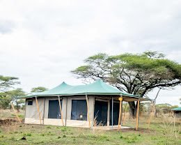 Serengeti Classic View Migration Camp - Kogatende