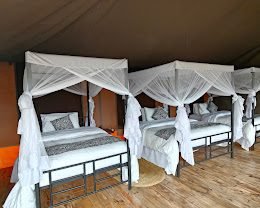 Serengeti Classic View Migration Camp - Kogatende