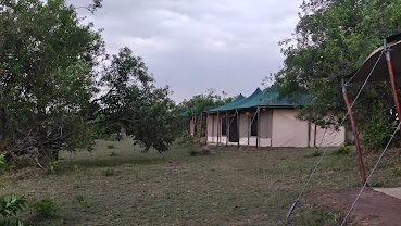 Serengeti Classic View Migration Camp - Kogatende